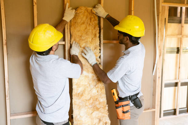 Best Blown-In Insulation  in Passapatanzy, VA